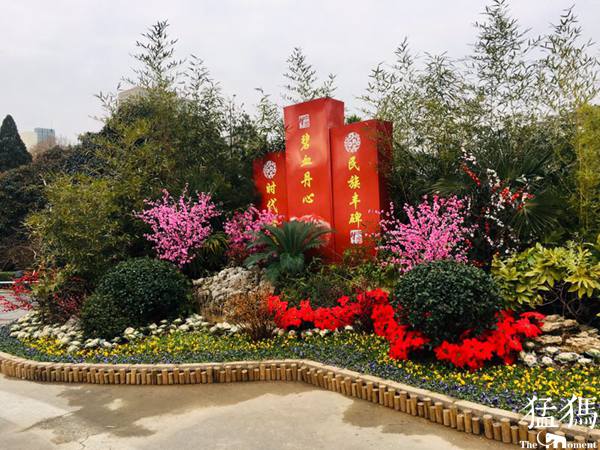 繽紛花壇慶元旦 雙梅鬧春迎新年！走，碧沙崗公園逛逛去